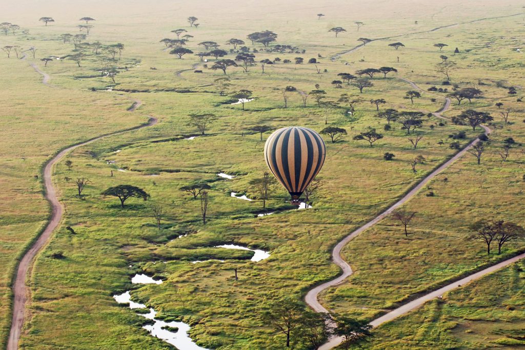 Floating along the Serengeti