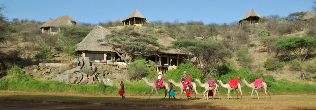 1423946500Sasaab Camp-Samburu-Camel Safari